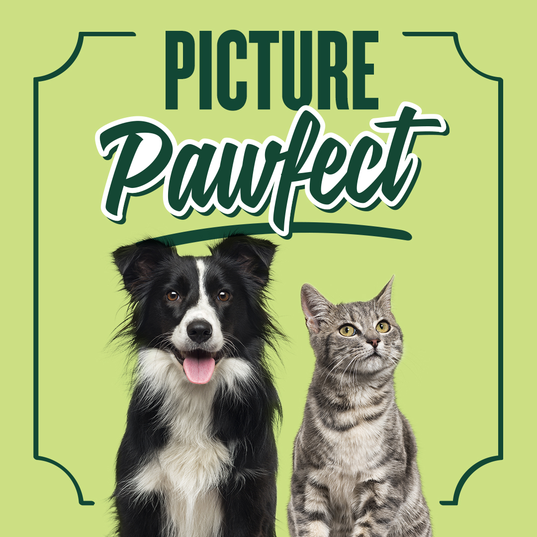 IGA and Purina Pet Photo Contest