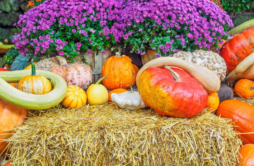 Support Local Farmers with These Fall Harvest Ideas